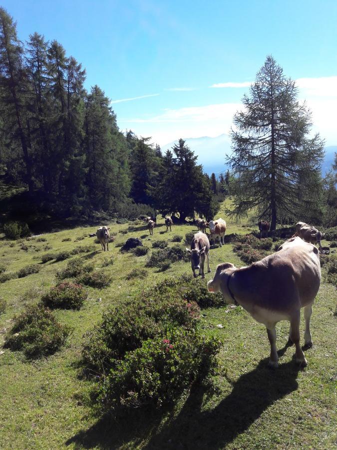 Berghotel Schlickeralm 1.616 M Fulpmes Extérieur photo